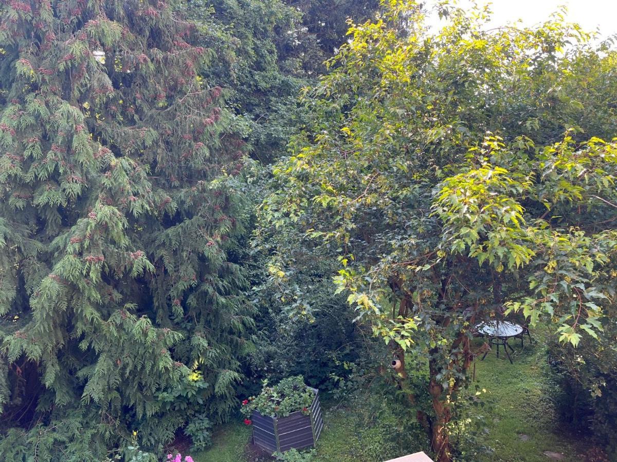 Forsthaus Neudorf Apartman Harzgerode Kültér fotó